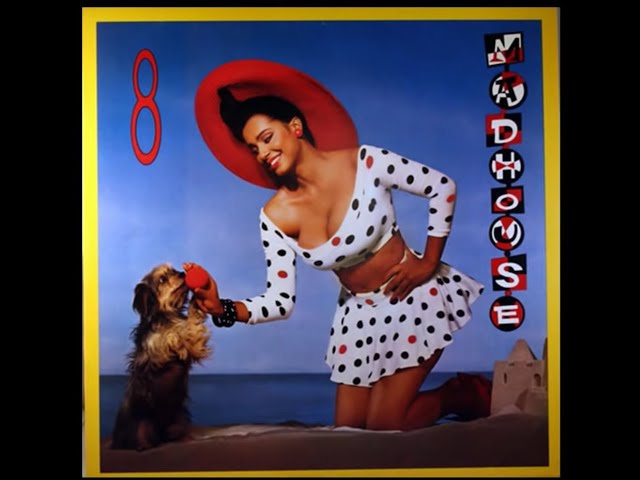 Prince: RARE MADHOUSE Album 