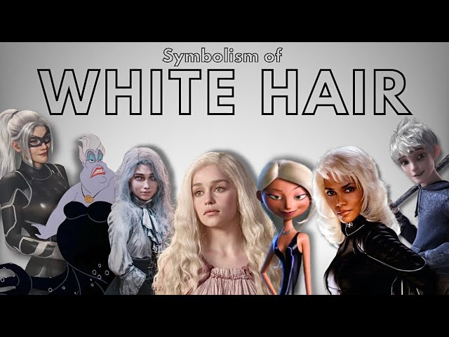 SLEEP SHEEP SUNROOM / Trailer 【はるまきごはんアコースティックミニ