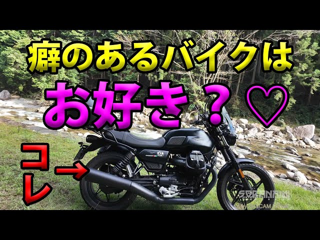 Do you like bikes with unique features? ❤️] Soranamidori's