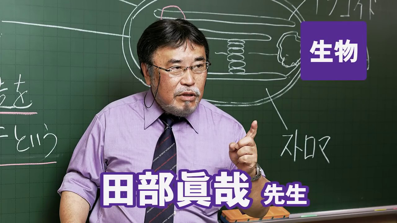 生物】田部眞哉 | 東進衛星予備校 東岡山校・岡山瀬戸校