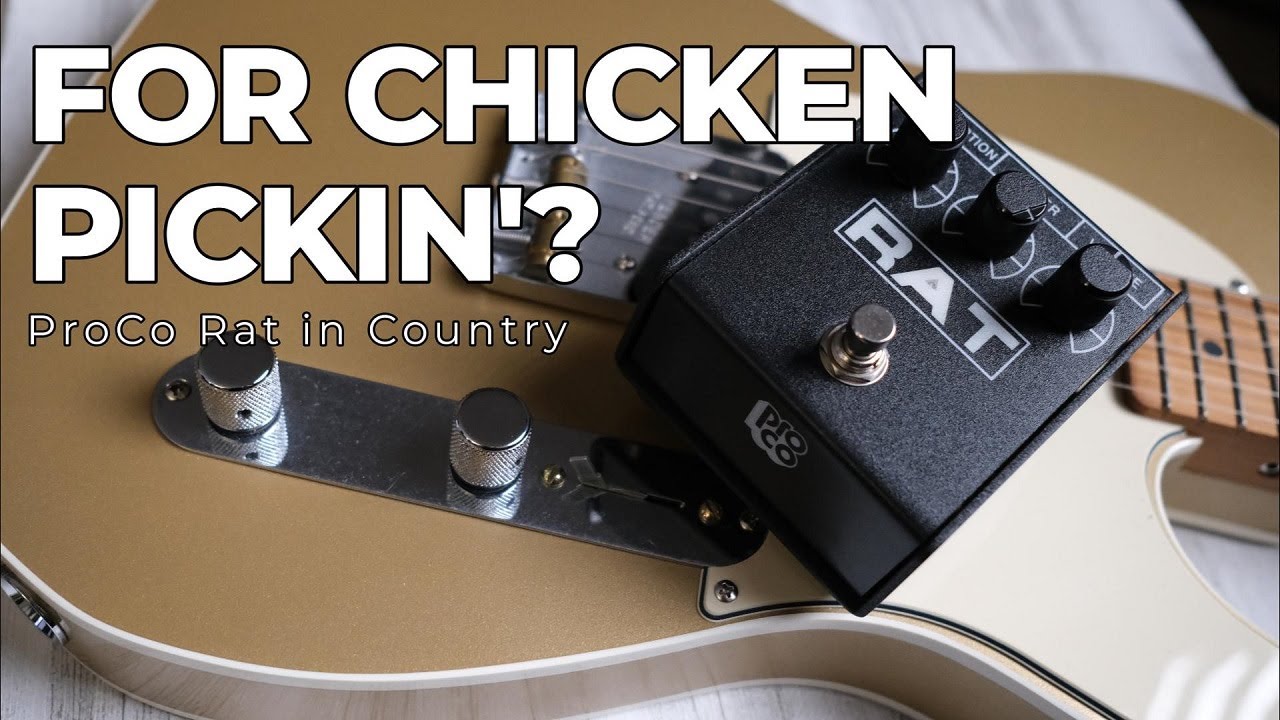 3 Minute Demo: ProCo Rat on Country | Distortion for Chicken