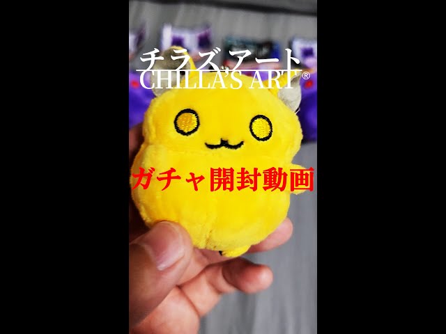 Chira's Art Chiramaru Costume Plush Mascot] A guy who appeared in