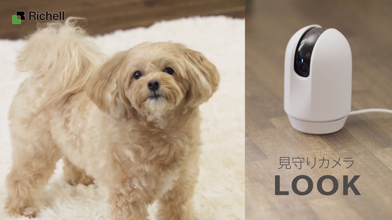 見守りカメラ LOOK｜お留守番ペットをスマホでチェック！【リッチェル