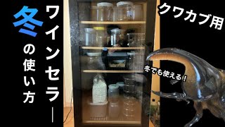 クワカブ飼育】冬でも使えるワインセラー！使い方とメリット