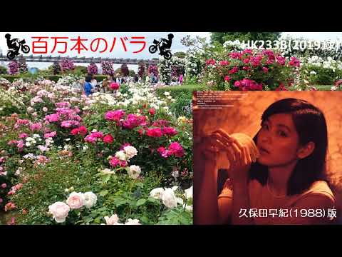百万本のバラ／久米小百合（久保田早紀）／AsaxT3B - YouTube