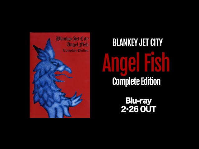 BLANKEY JET CITY LIVE ARCHIVES - Blu-ray「Angel Fish Complete