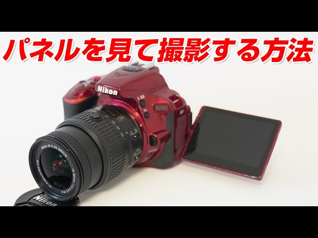 Nikon D5500 モニターを見て撮影をする方法 - YouTube