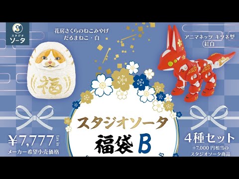 スタジオソータ 福袋B』開封動画 2025年版 - YouTube