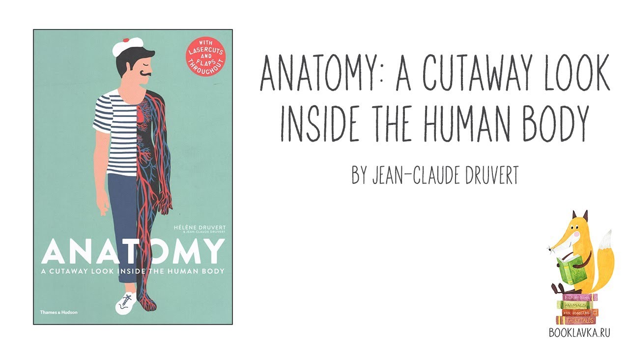 Anatomy: A Cutaway Look Inside the Human Body || BookLavka.ru