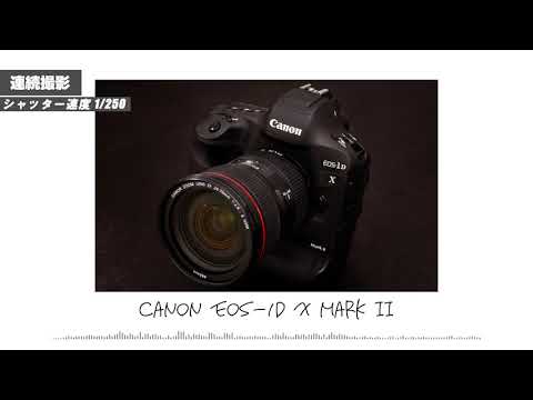 Canon EOS-1D X Mark II ｜ シャッター音 : Shutter Sound - YouTube