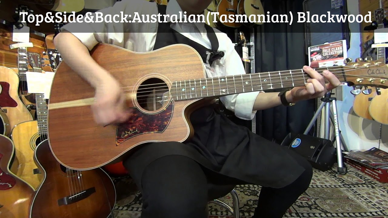 ColeClark / CCFL2EC-BLBL【イシバシ楽器新宿店】 - YouTube