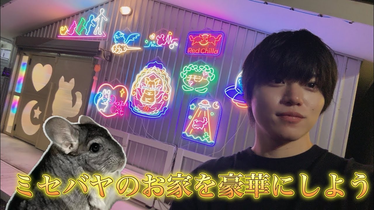 ロイヤルチンチラ おでかけチラカート＆トレーラー チラステージ