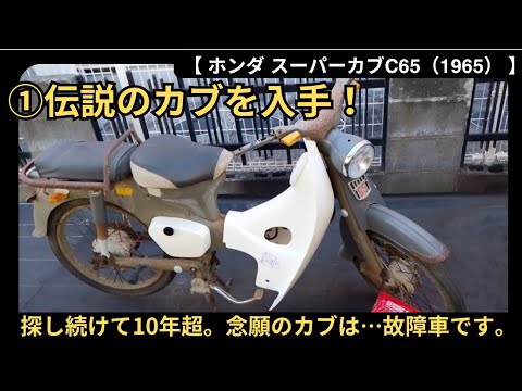 Legendary Cub C65] ① I got it! The legendary rare Cub - YouTube