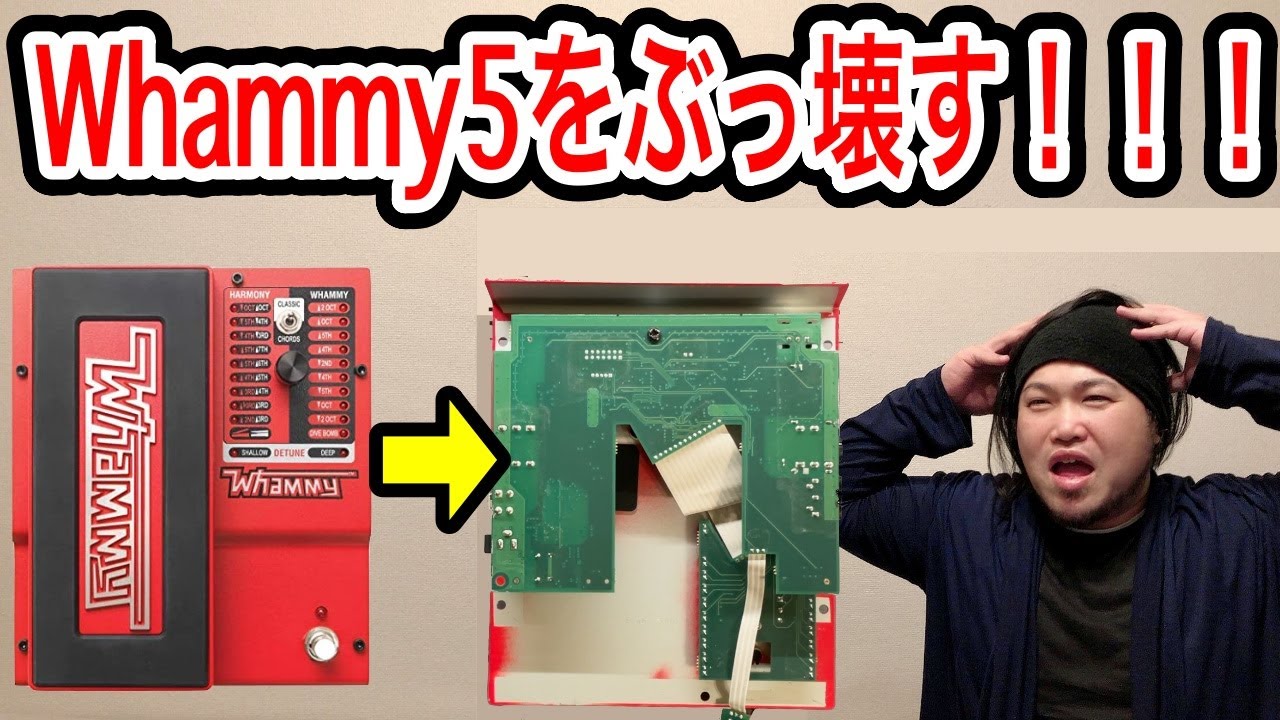 久し振りの】DigiTech Whammy5【ジャンク品】 - YouTube
