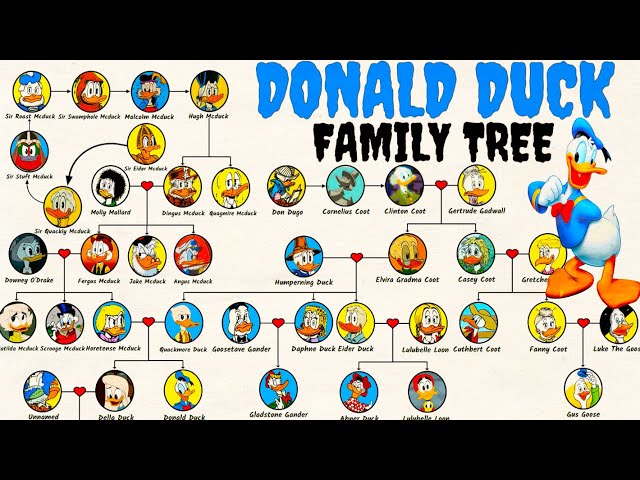 The Donald Duck's Family Tree [Duck Family] - YouTube