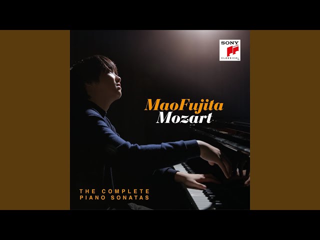 Piano Sonata No. 9 in D Major, K. 311: I. Allegro con spirito