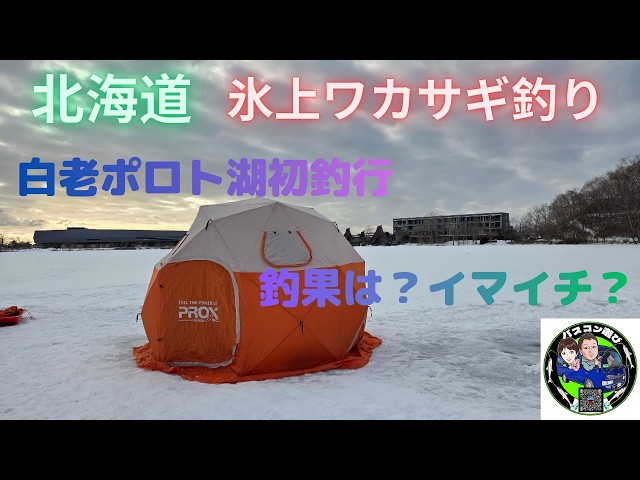 Ice fishing for smelt in Hokkaido, Shiraoi Lake Poroto, with a