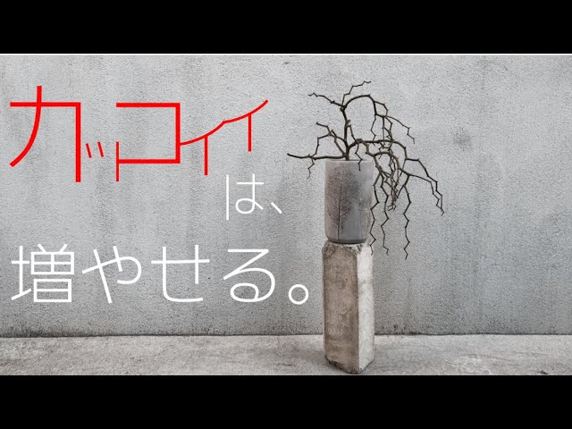 Zigzag Tree] A stylish explanation of how to propagate this