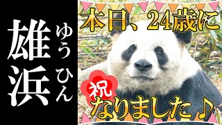 🎉24th Birthday】Happy Birthday Yuhin! Panda's Birthday Morning