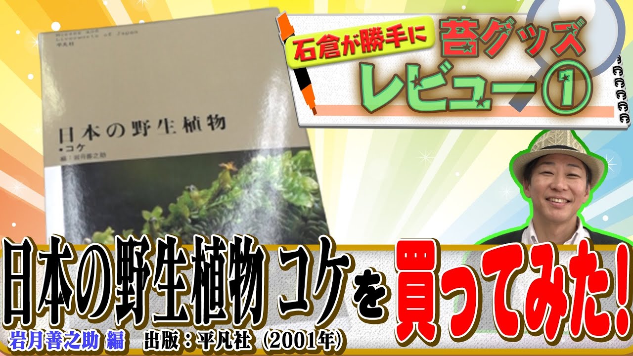 90【苔レビュー】日本の野生植物 コケを買ってみた - YouTube