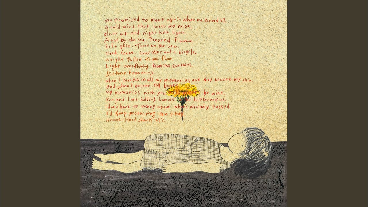 Hammer Head Shark - Midnight In Naked【Music Video】 - YouTube