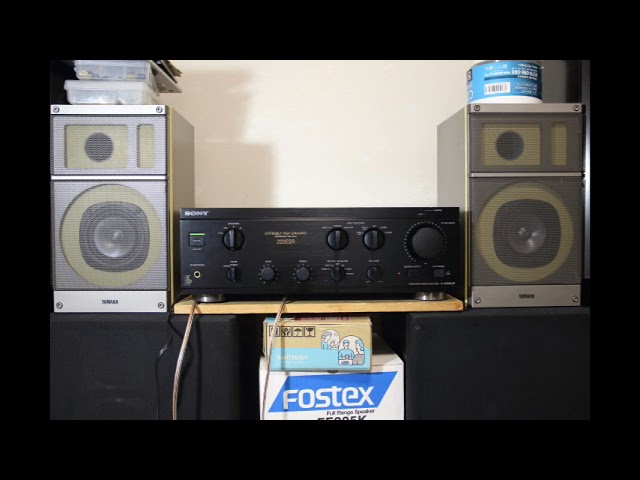 Listening to the sound of SONY's budget integrated amplifier: TA