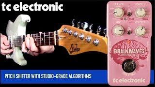 TC ELECTRONIC BRAINWAVES PITCH SHIFTER - ワーミースタイルも可能