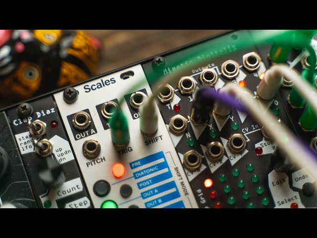今月のモジュラー・シンセ：INTELLIJEL Scales 〜第11回 Patch The