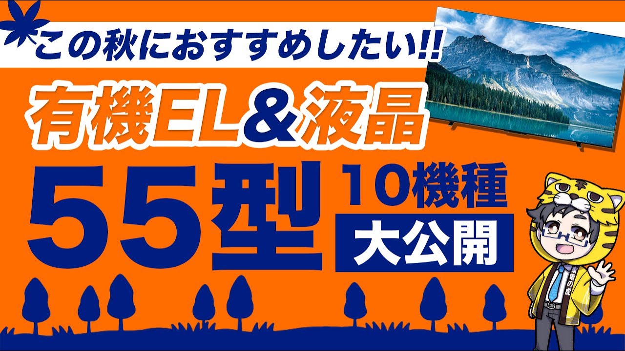 液晶・有機ELテレビ｜2024秋の大人気55型おすすめ10選｜今お得なモデル