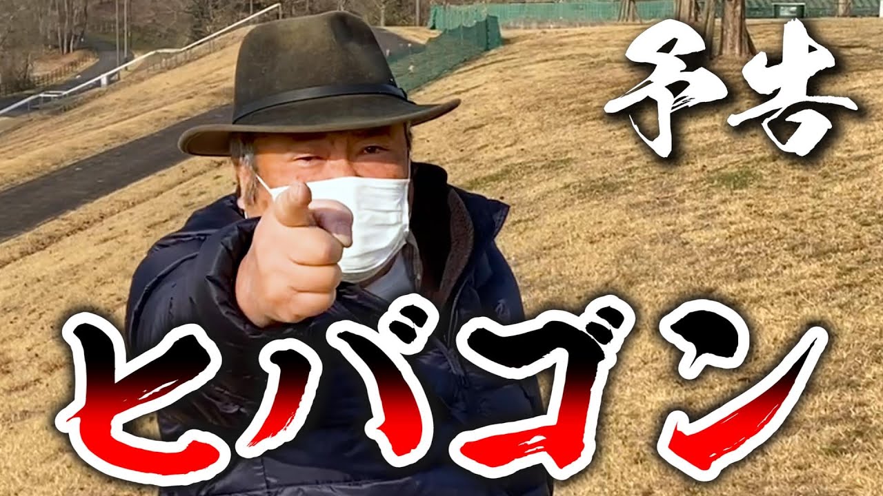 ヒバゴン～実在した、謎の類人猿～|庄原観光ナビ 【公式】広島県庄原市