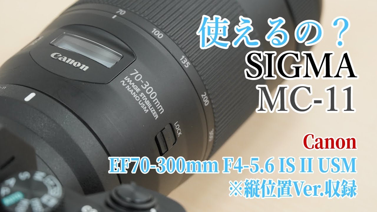 使えるの？】シグマ マウントアダプター MC-11でキヤノンEF70-300mm F4