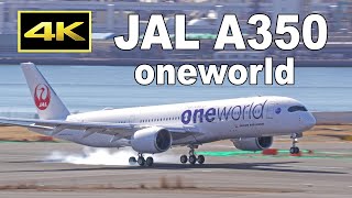4K] JAL A350 ワンワールド塗装機 羽田に到着 / JAL Oneworld Livery