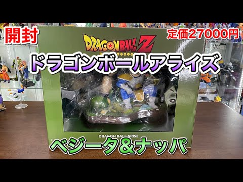 Dragon Ball Arise Figures, First Edition Vegeta & Nappa, Unboxing