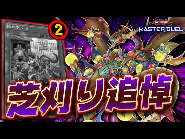 感謝のデュエル】犯罪ムーブしまくりで