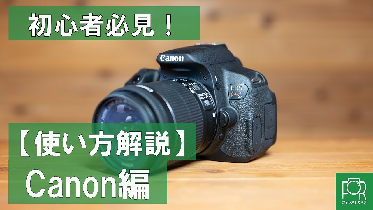 初心者に最適 Canon EOS Kiss Digital N Wレンズセット ☆デジタル一眼