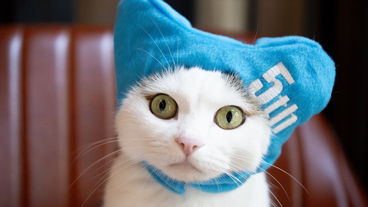 まるです17。-I am Maru 17.- - YouTube