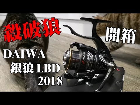 平凡人之開箱】x DAIWA 銀狼LBD !!!! - YouTube