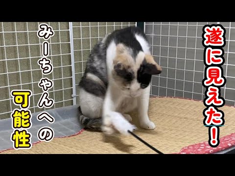 A moving and divine episode] Finally! I can see the possibility