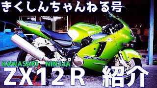 ZX12R self-introduction] Kikushin Channel issue Customization and
