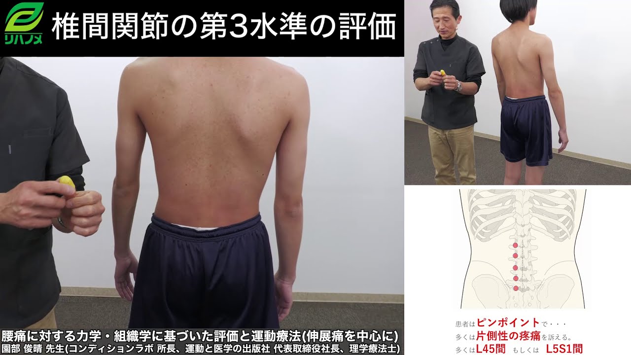 皮膚から動きをコントロールする！皮膚運動学の臨床応用 ～ 皮膚運動学
