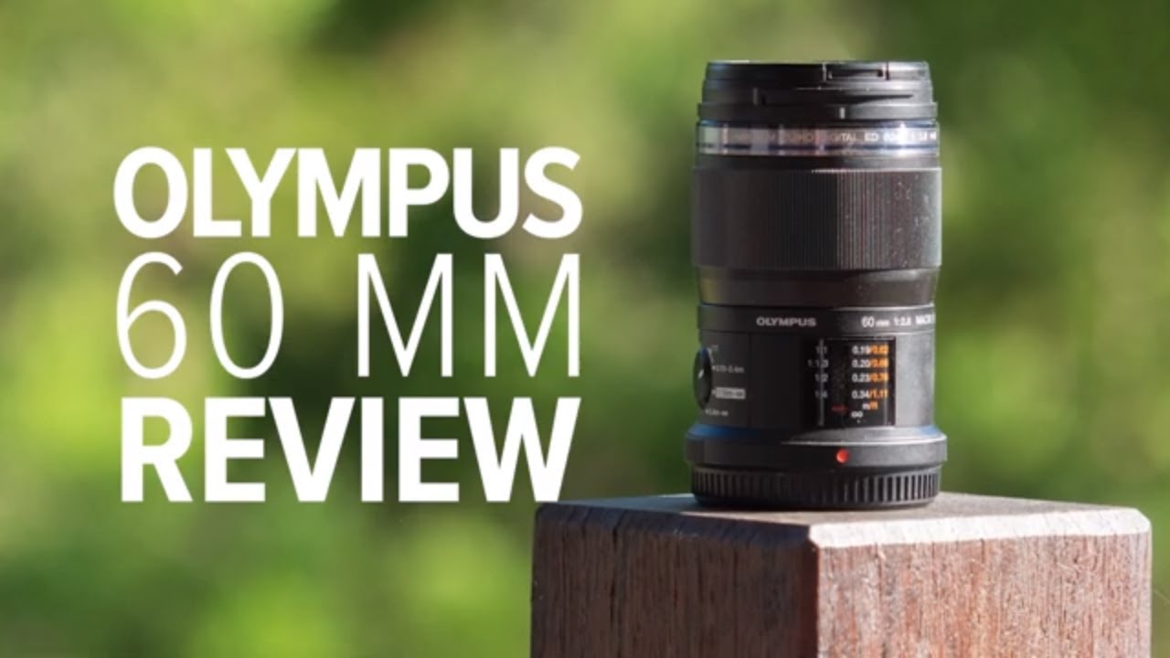 A macro photography review of the Olympus 60mm f/2.8 Macro Lens