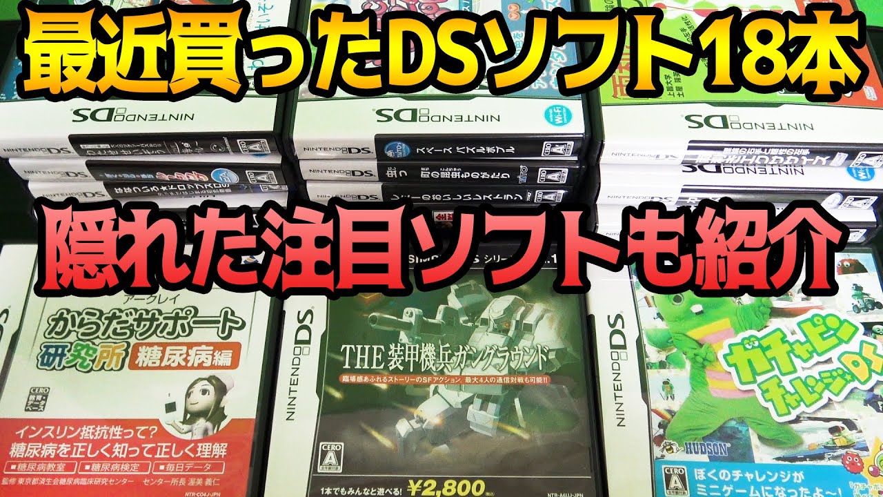 DS屈指の裏レアソフト＆最近買った注目ソフト18本【コアラの