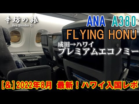 最新】2022年8月 ANA184便 A380「FLYING HONU(フライングホヌ