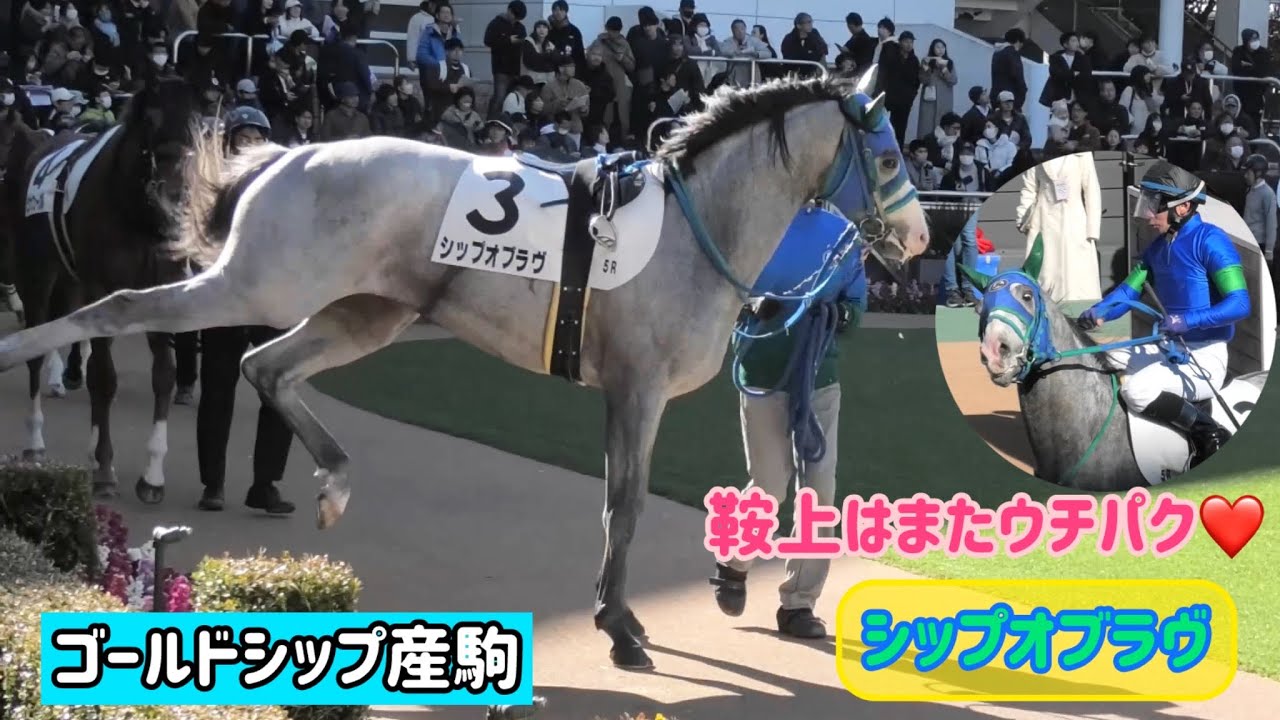 白馬のオルゴール ロココ調 ラスト1点 白馬のオルゴール ロココ調