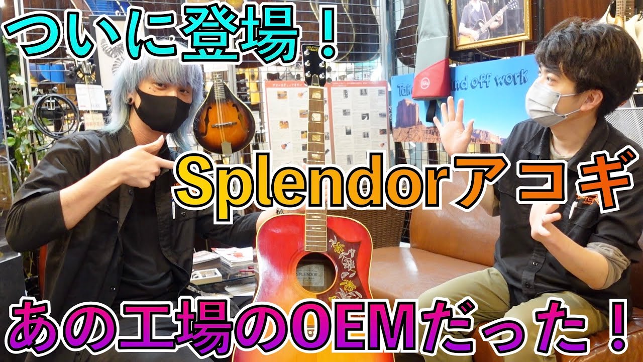 かつてのオリジナルブランドSplendor、ついにアコギも入手！製造元は