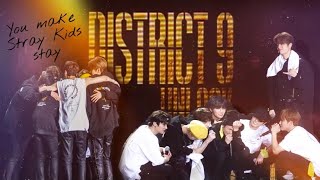Stray Kids World Tour 'District 9 : Unlock' in SEOUL (Video Fan