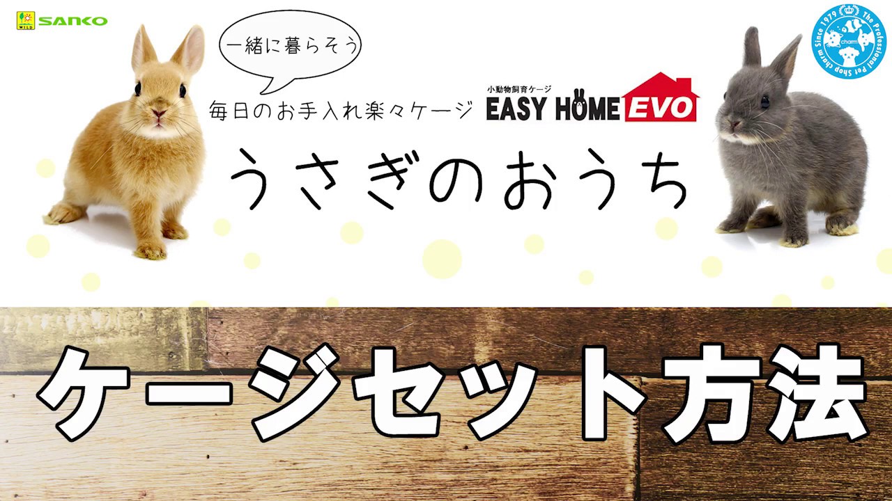 チャーム】うさぎ飼育ケージ♪ SANKOイージーホームエボ80のセットで