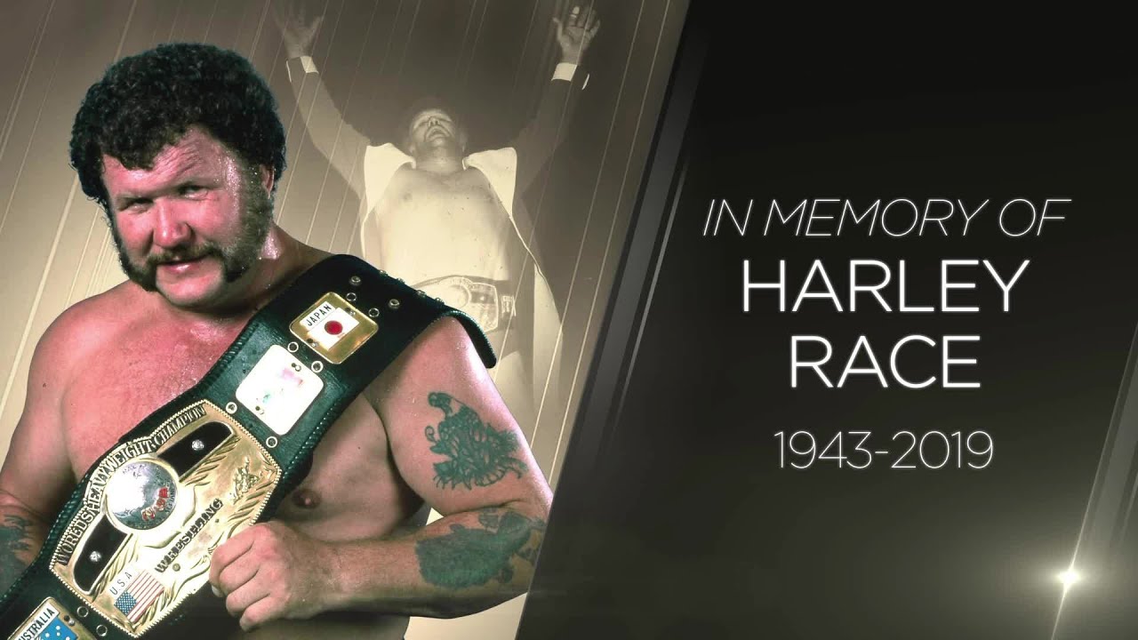 ハーリー・レイスよ永遠なれ 2014年『真夜中のハーリー&レイス』出演回