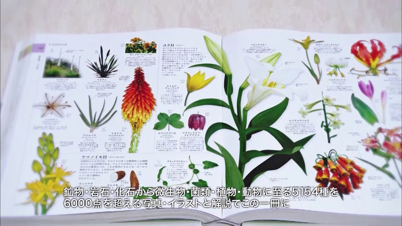 ギフトにおすすめ『地球博物学大図鑑』（スミソニアン協会 監修）紹介