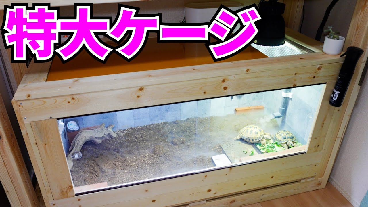 ハチクラ店内のケージの作り方】第2弾！～大型ケージ～ - YouTube